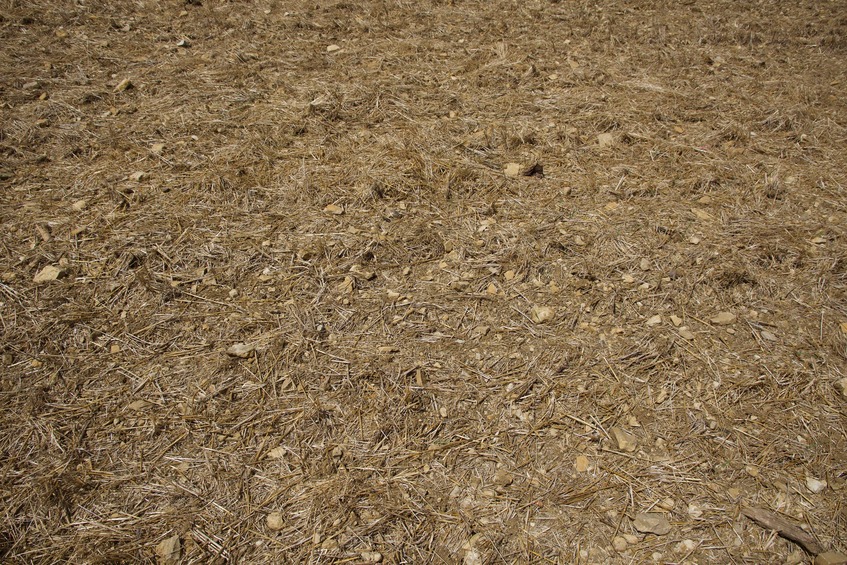 The confluence point lies in a bare farm field