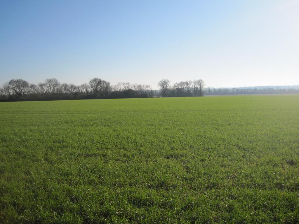 Osten; view east