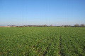 Visit #7: [14-Feb-23]
