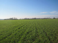 #3: Süden; view south