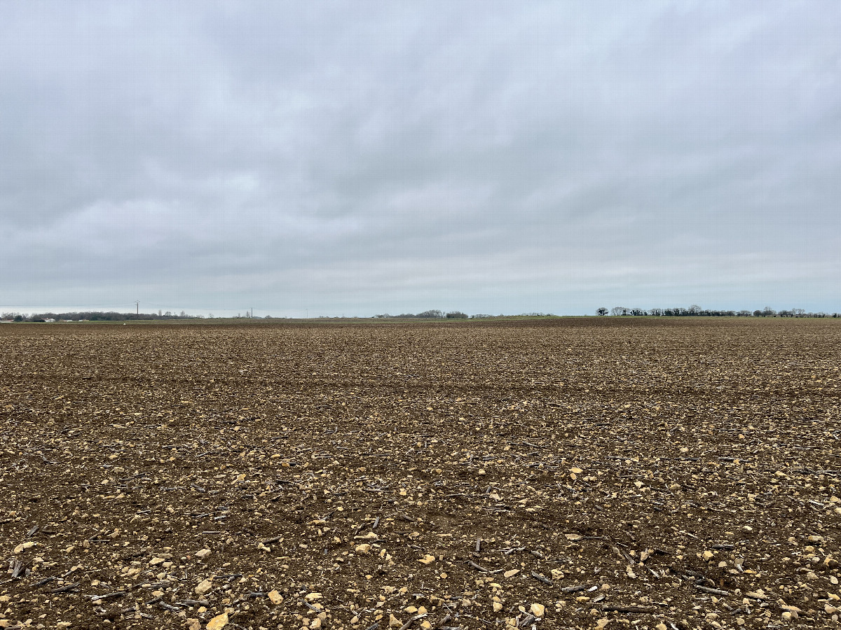 View looking west