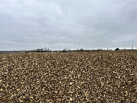 #3: View looking south