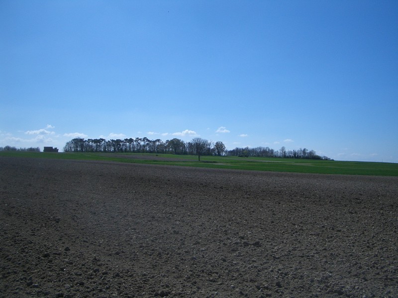 Looking south