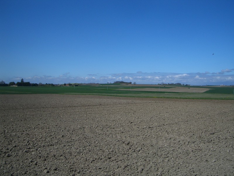 Looking west