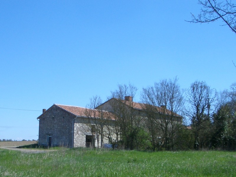 The farm
