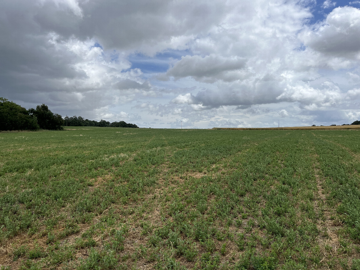 View to the east