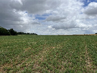 #3: View to the east