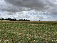 #4: View to the south
