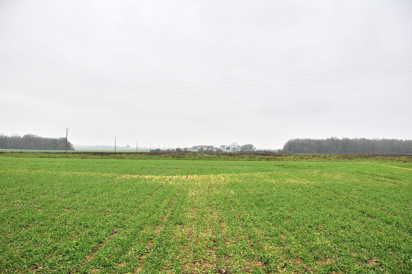 View north / Blick nach Norden