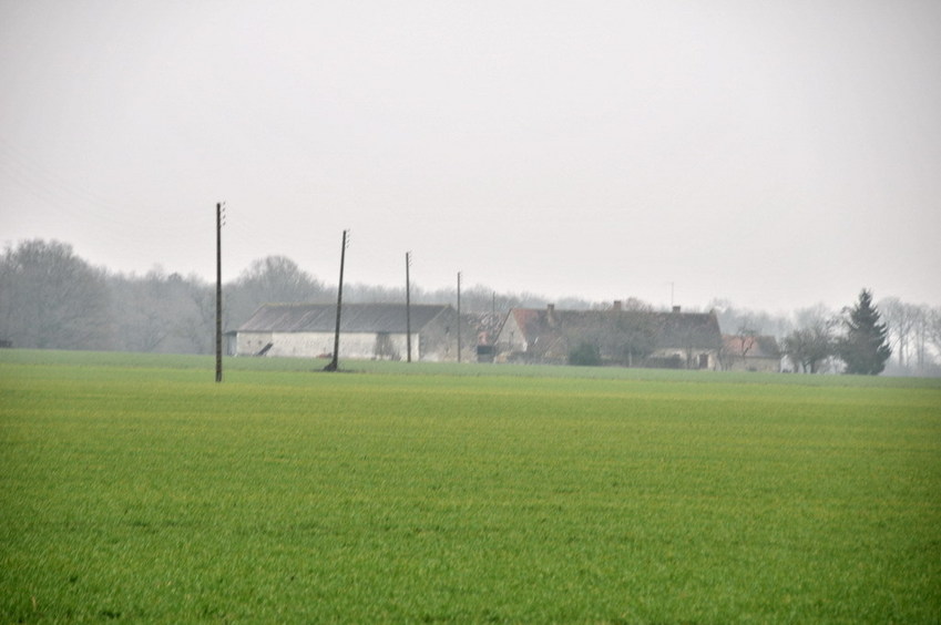 View south / Blick nach Süden