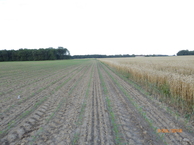 #3: View East