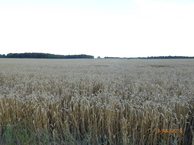 #4: View South