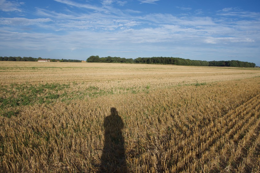 View East (of my shadow)