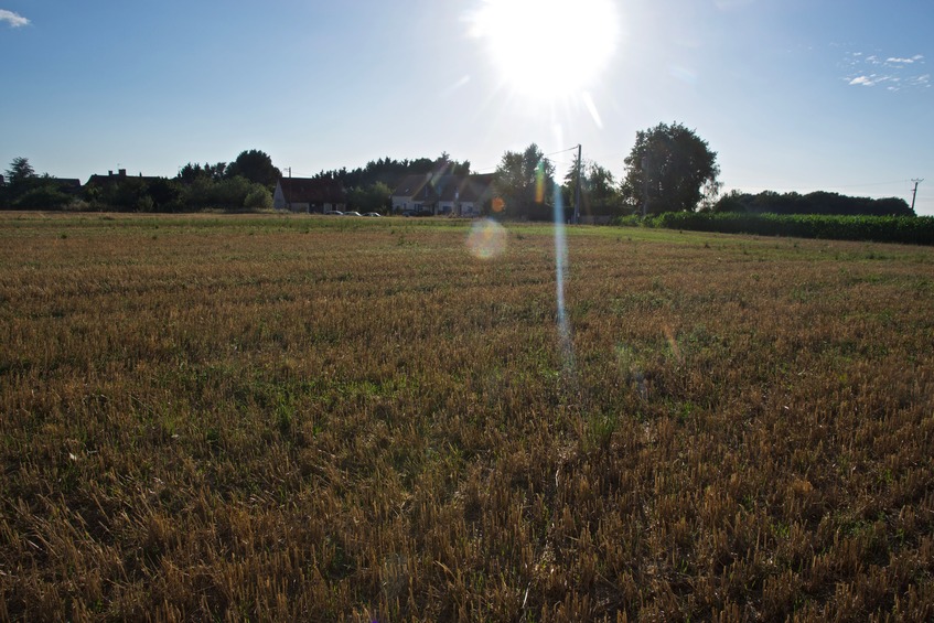 View West (into the late-afternoon Sun, towards "Les Loges")