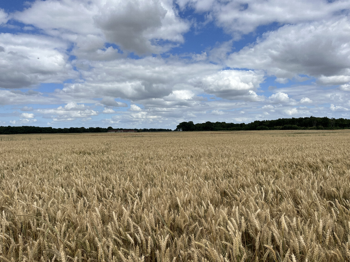 View to the east