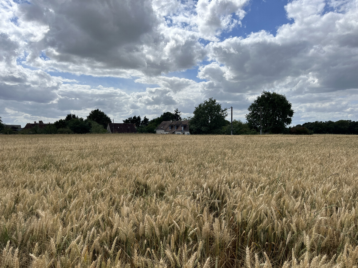 View to the west