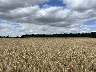 #2: View to the north