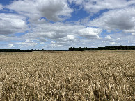 #3: View to the east
