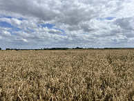 #4: View to the south
