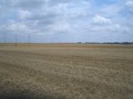 #3: Looking east
