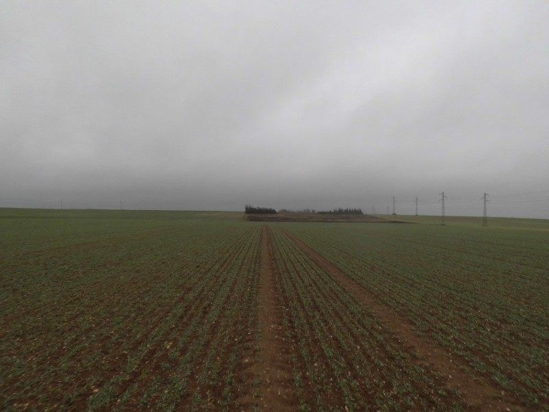 Nord/North