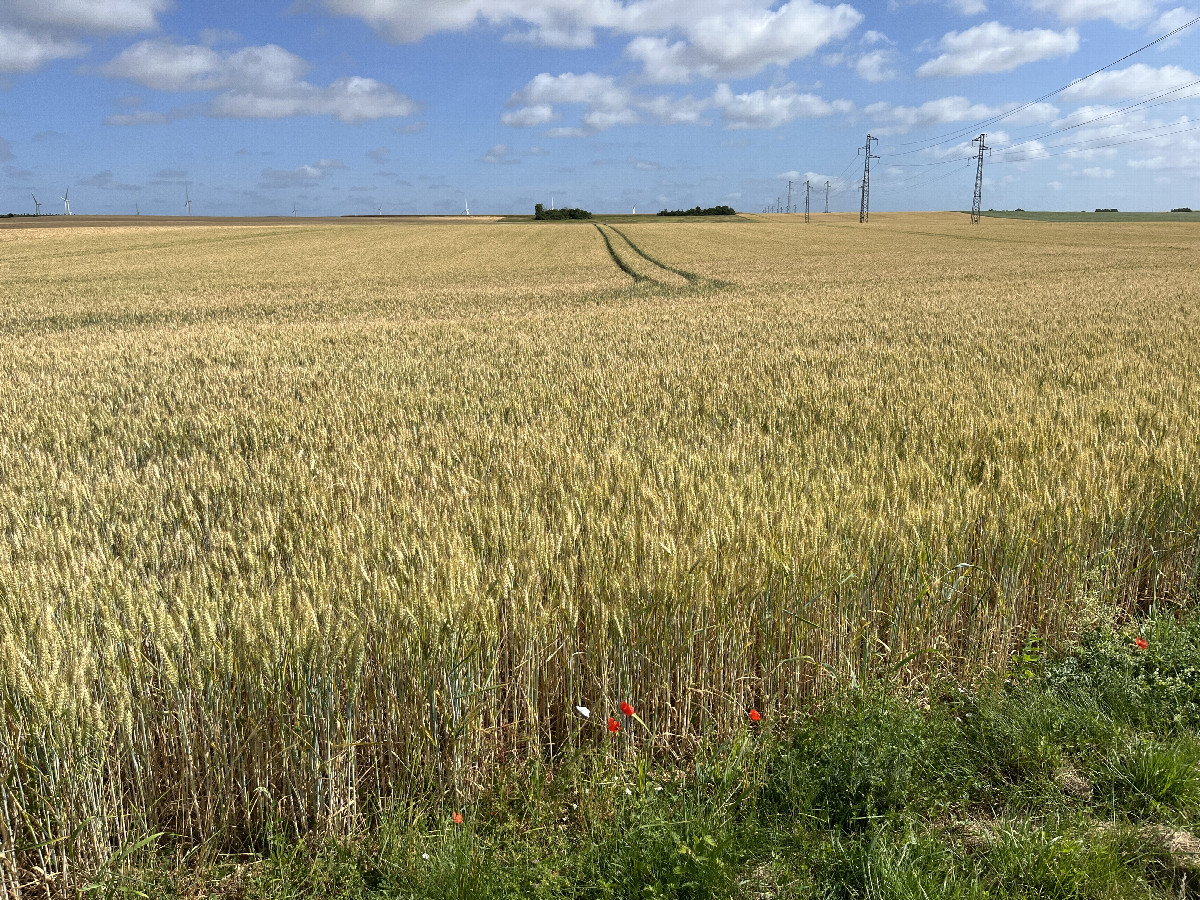 Overview, 180m away from the road intersection on the south