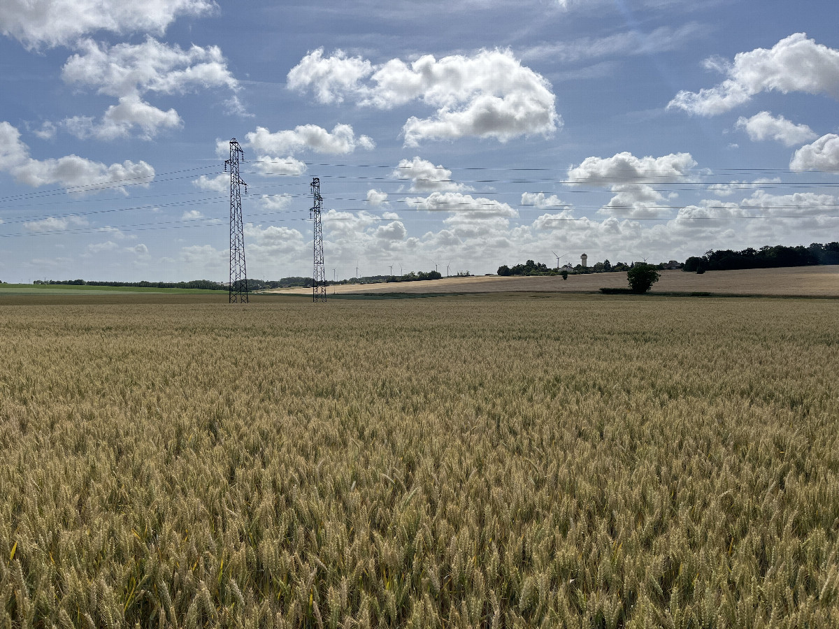 View to the east