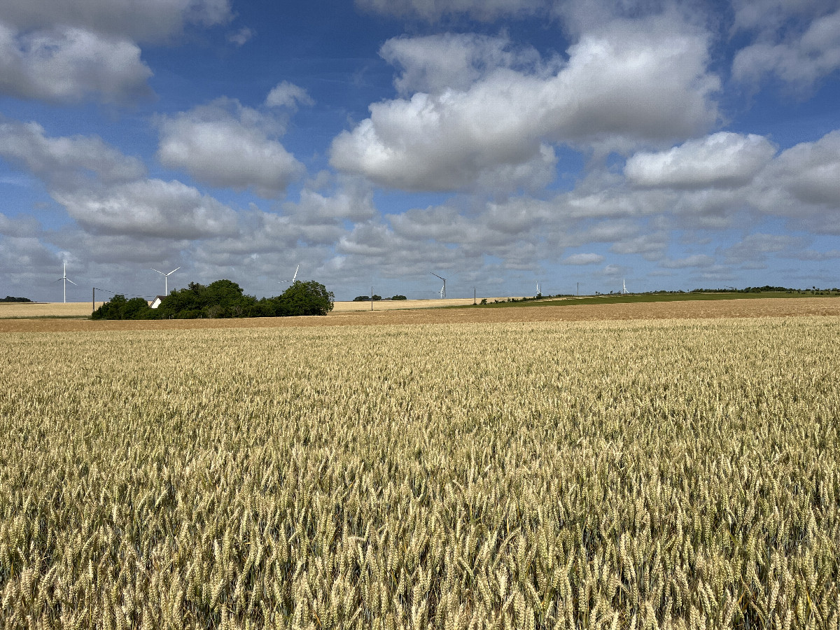 View to the west