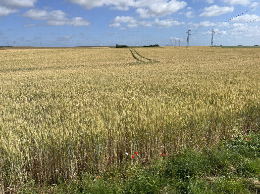 #1: Overview, 180m away from the road intersection on the south