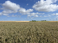 #2: View to the north