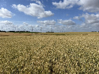 #4: View to the south
