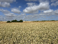 #5: View to the west