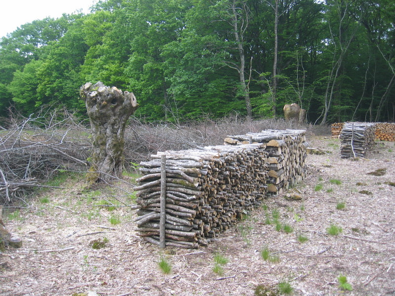 Stapled Firewood