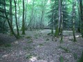 #2: Looking north