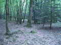 #4: Looking south