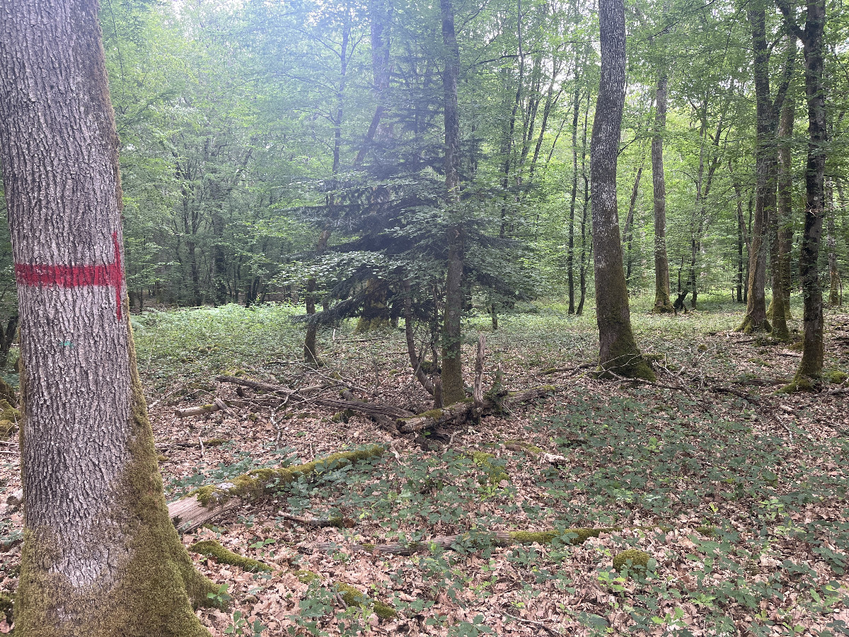 Overview, 10m away from the west