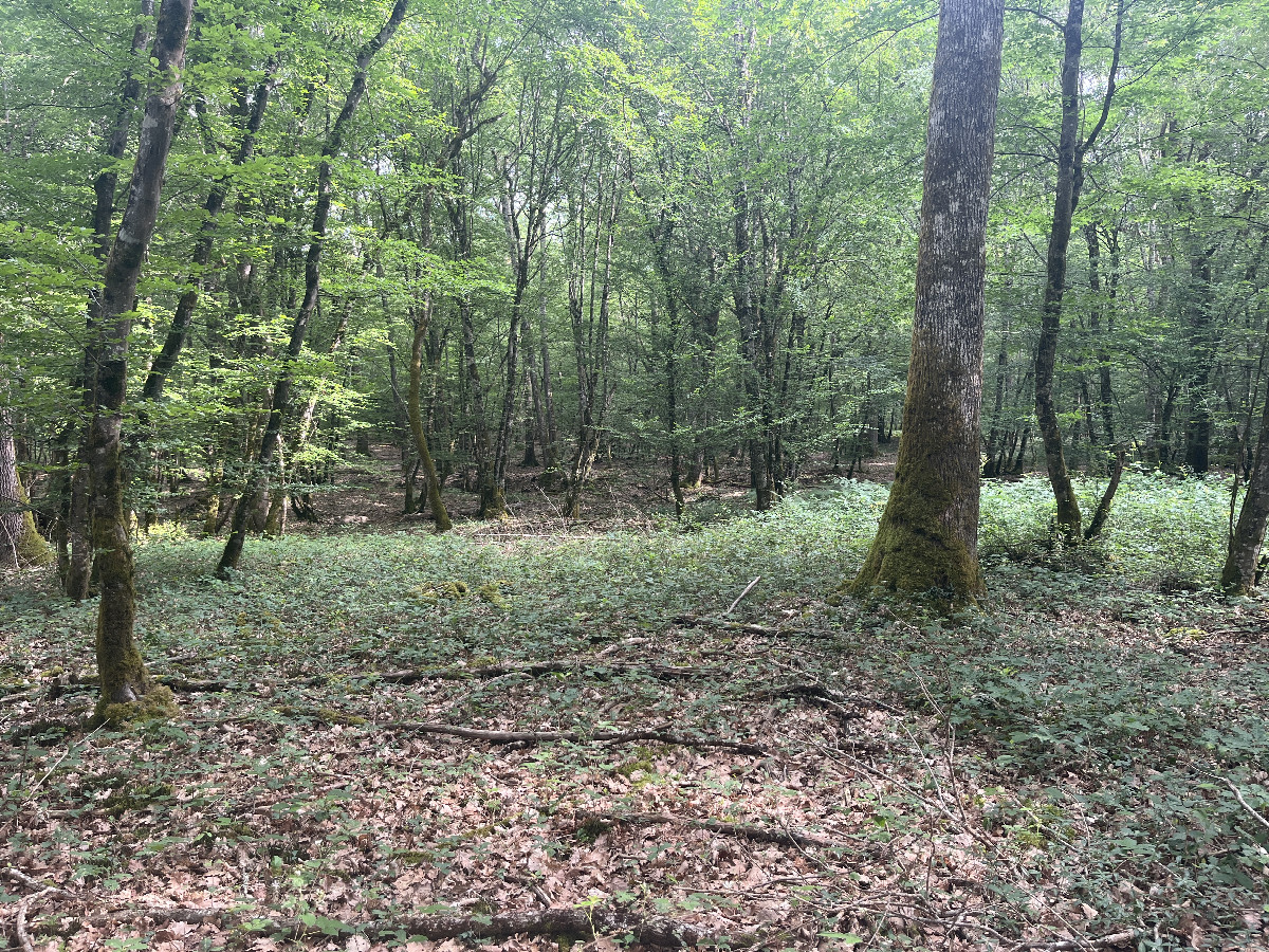 View to the north