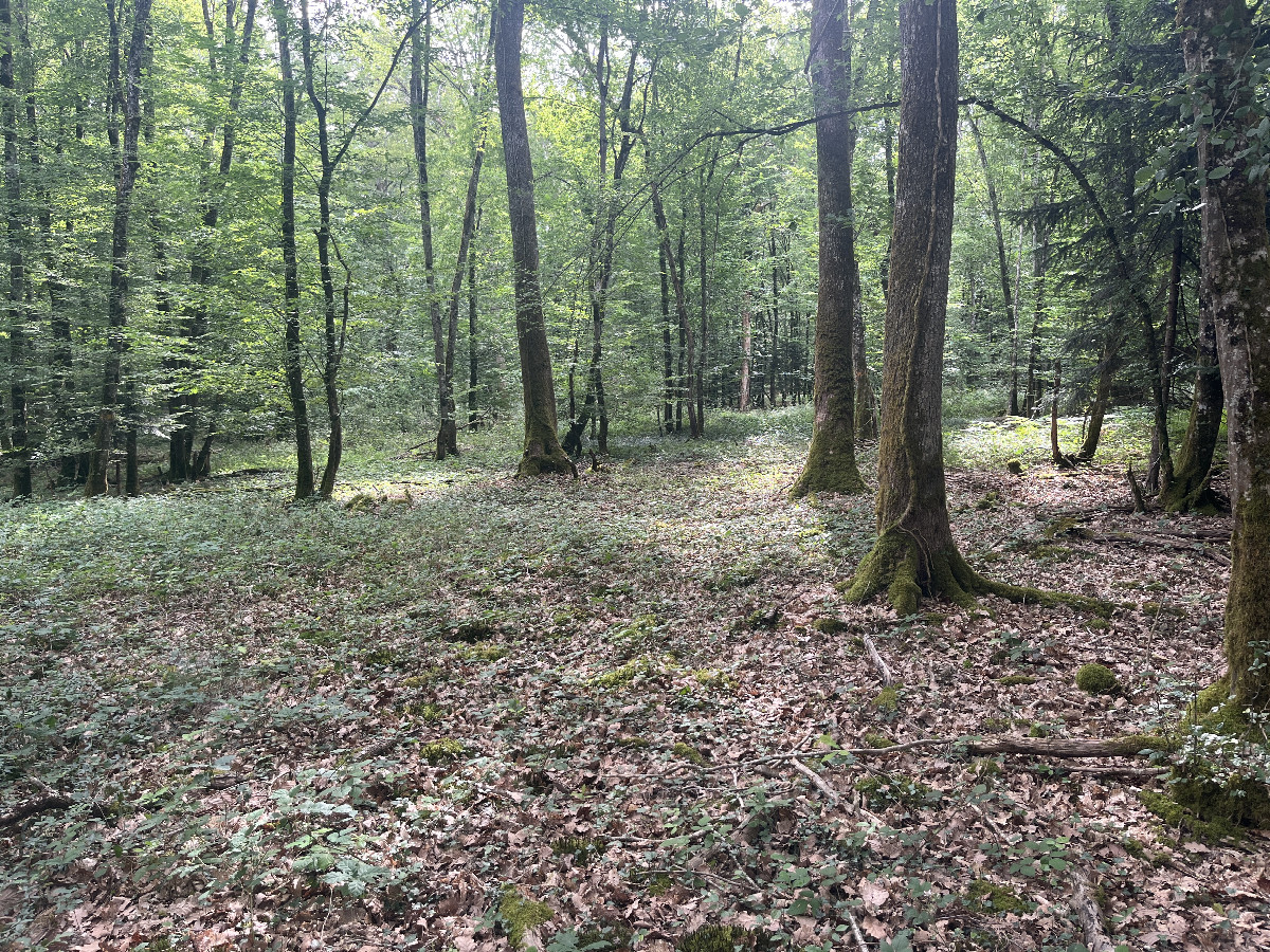 View to the east