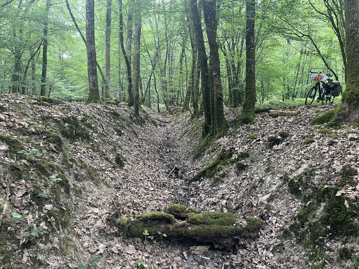 The ditch in the forest