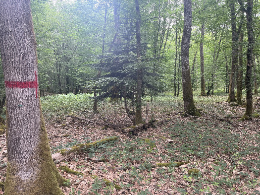 #1: Overview, 10m away from the west
