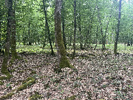 #4: View to the south