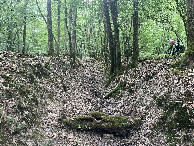 #7: The ditch in the forest