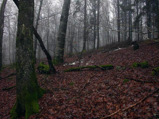 View in western direction / Blick nach Westen