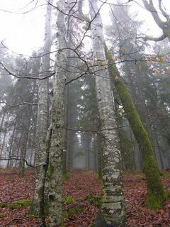 #1: View in northeastern direction / Blick in nordöstliche Richtung