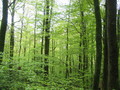 #5: View to the South