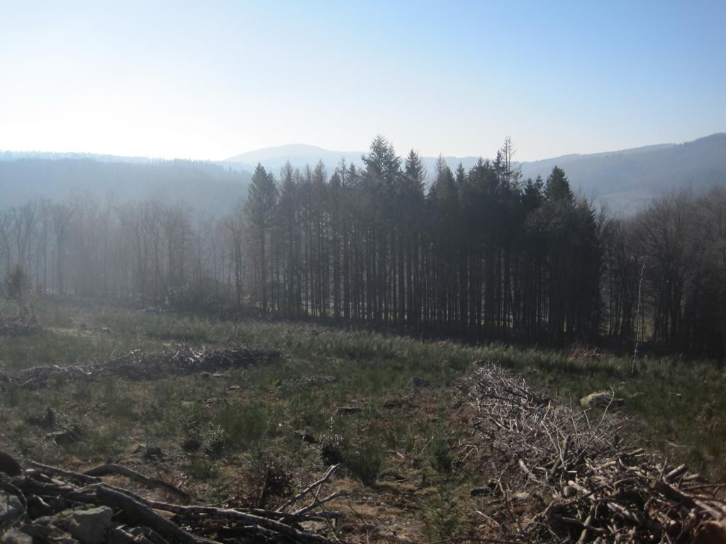 Süden; view south