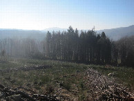 #3: Süden; view south