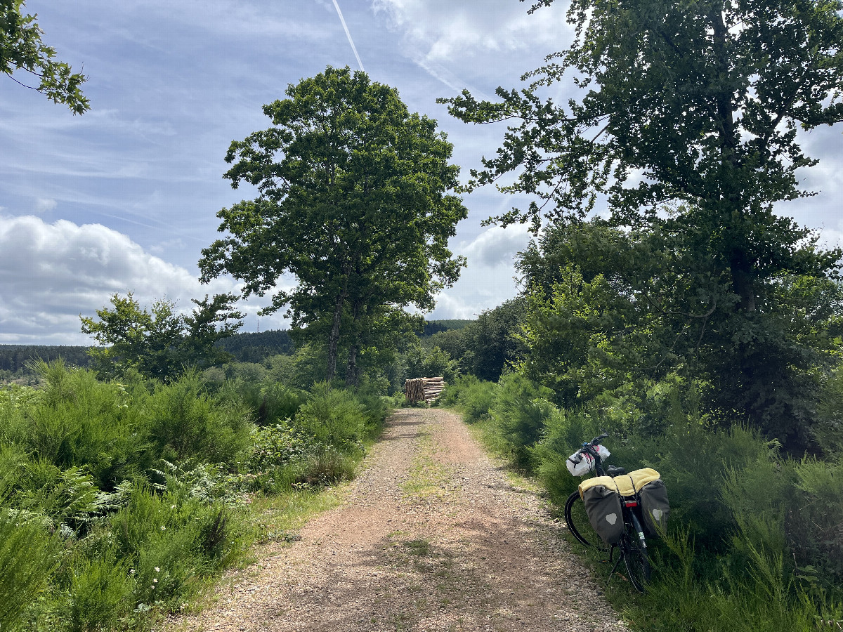 My bicycle waiting by the forest track
