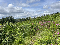 #5: View to the west