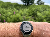 #6: GPS reading